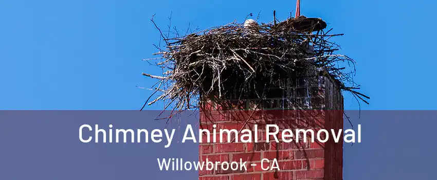 Chimney Animal Removal Willowbrook - CA