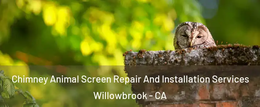  Chimney Animal Screen Repair And Installation Services Willowbrook - CA