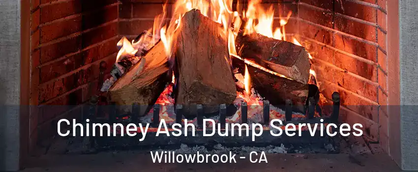  Chimney Ash Dump Services Willowbrook - CA