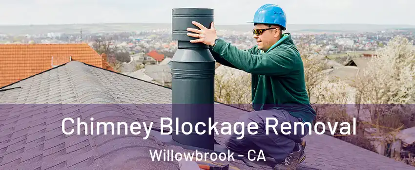  Chimney Blockage Removal Willowbrook - CA