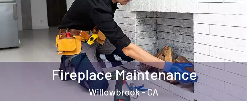  Fireplace Maintenance Willowbrook - CA