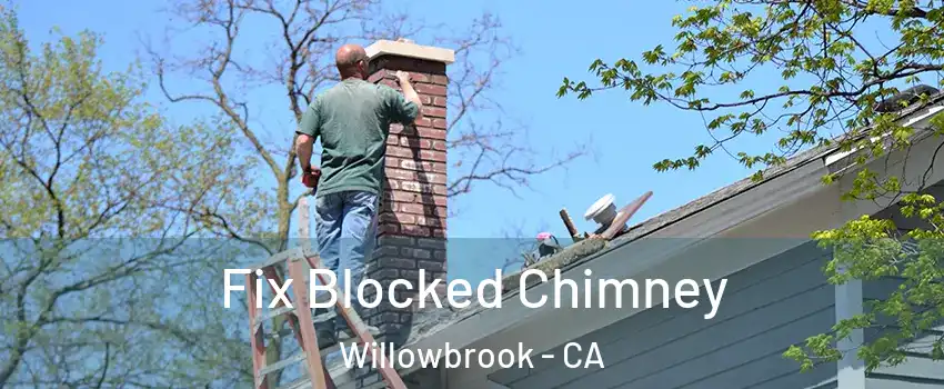  Fix Blocked Chimney Willowbrook - CA
