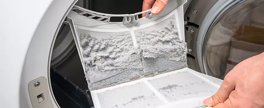Best Dryer Lint Removal Company in Willowbrook, California