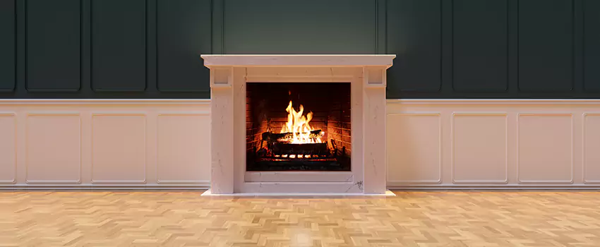 Napoleon Electric Fireplaces Inspection Service in Willowbrook, California