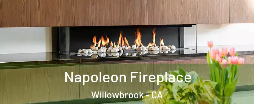  Napoleon Fireplace Willowbrook - CA